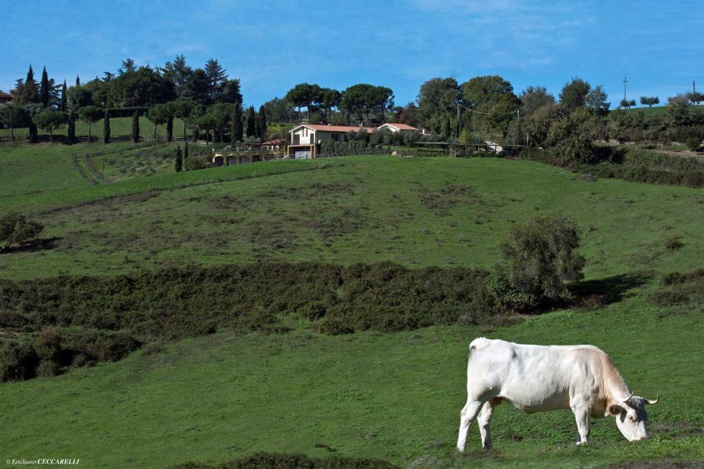 Agriturismo Valle Siriaca Castelnuovo Di Porto Extérieur photo